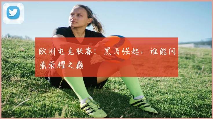 欧洲电竞联赛:黑马崛起,谁能问鼎荣耀之巅